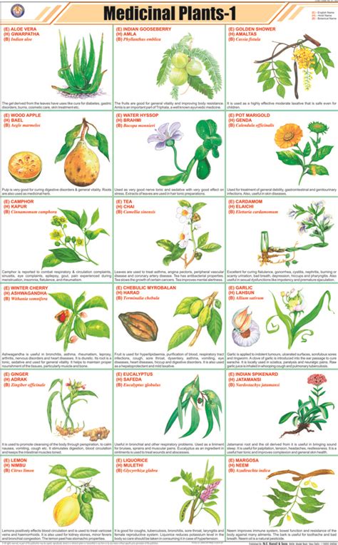 medicinal plants chart